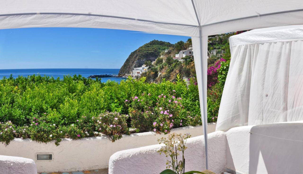 Hotel Casa Rosa Sea & Spa Sant'Angelo  Exterior photo